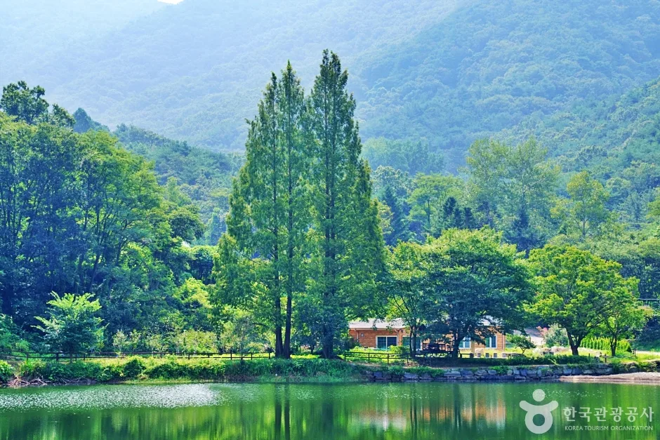 불장골 저수지 (3)