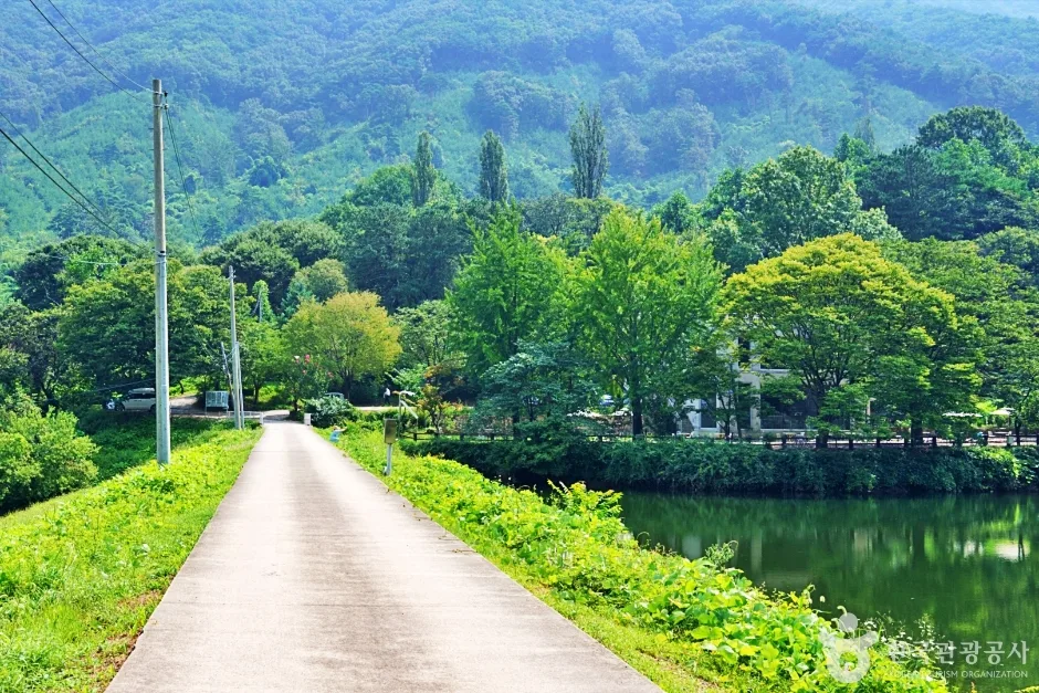 불장골 저수지 (2)