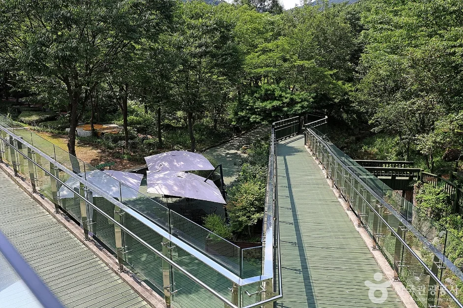 신구대학교식물원_2