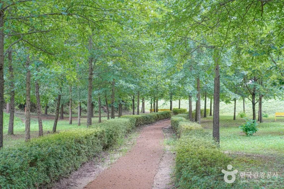 함안_악양생태공원 (5)