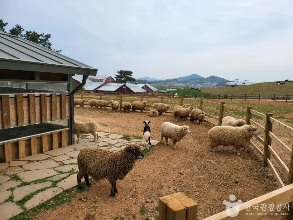 고창_상하농원 (11).jpg
