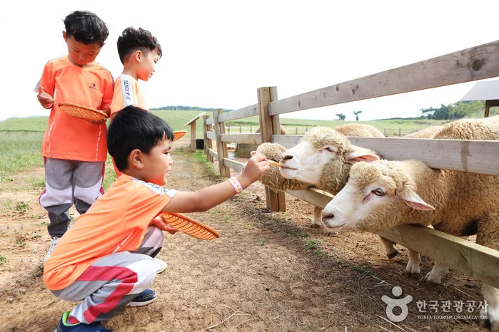 고창_상하농원 (9).JPG