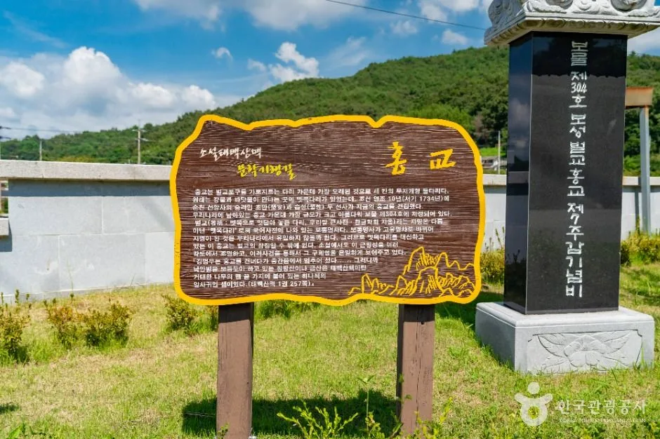 보성_보성 벌교 홍교 (2)