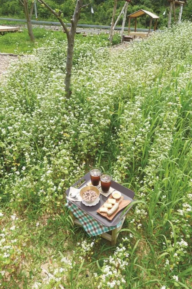 강원_인제_하추리산촌마을_음식_2.jpg