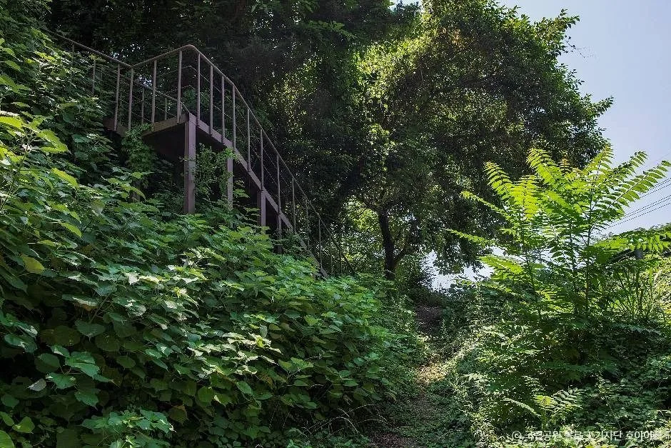 하동_한려해상국립공원(하동) (2)