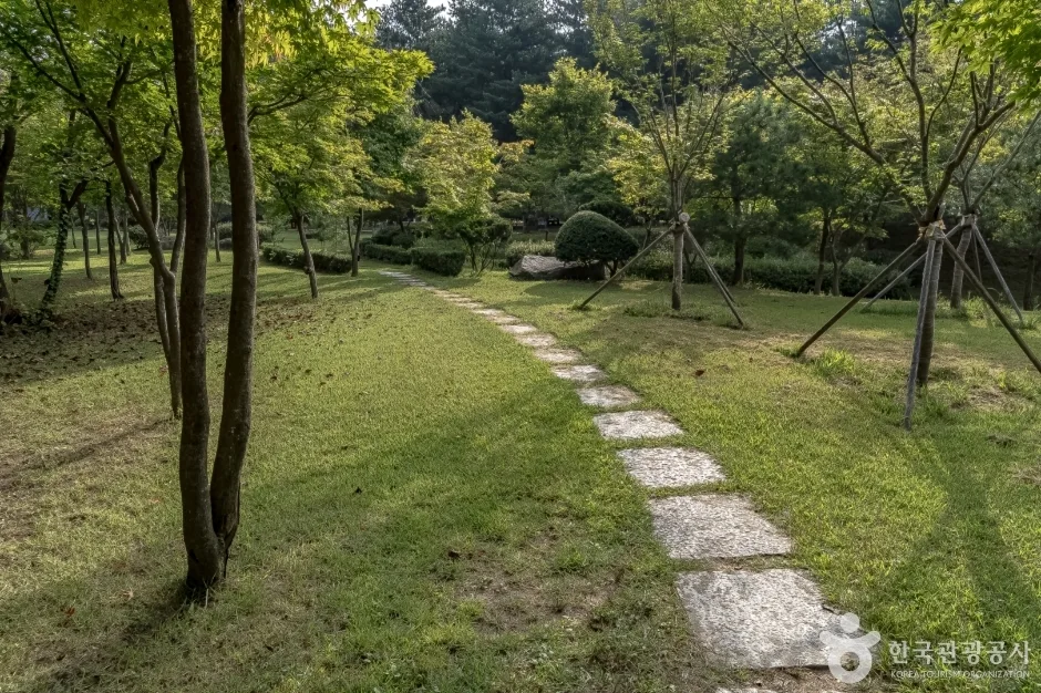 백풍밀원9