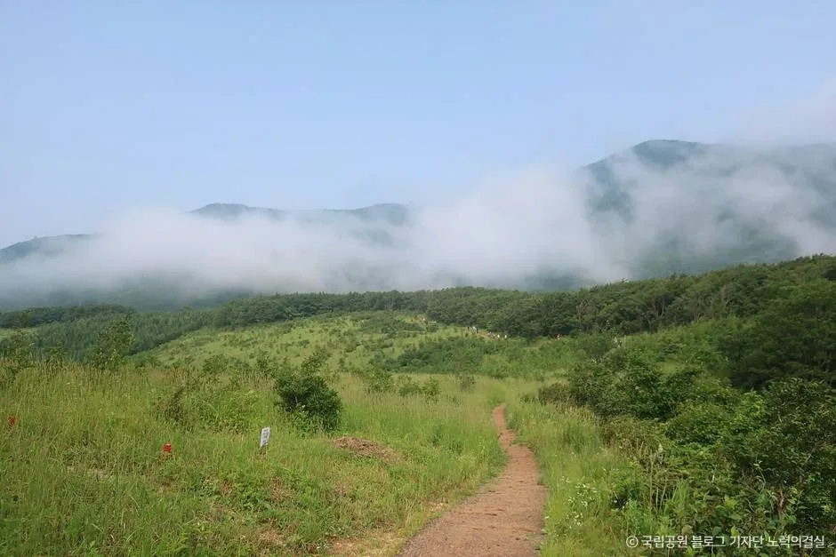 평창_오대산국립공원 (5)