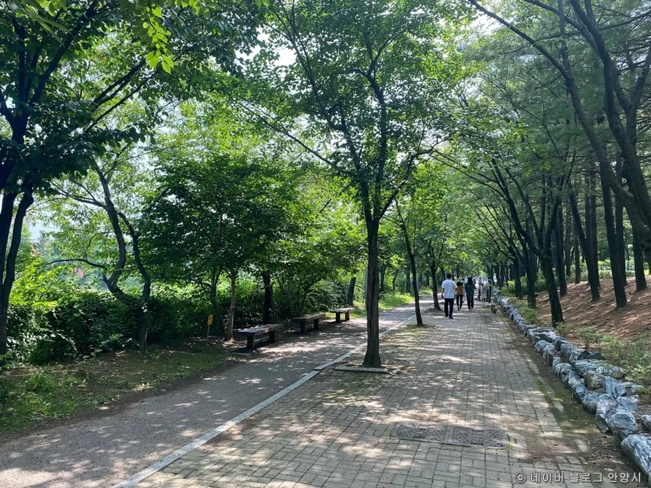 학운공원_산책로