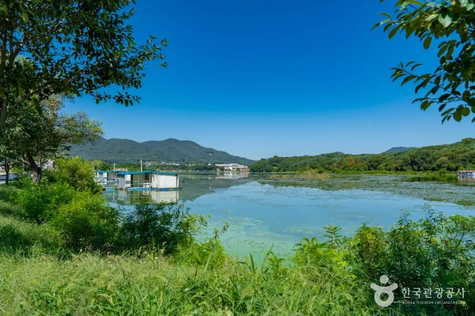 용인_용담저수지 (6)