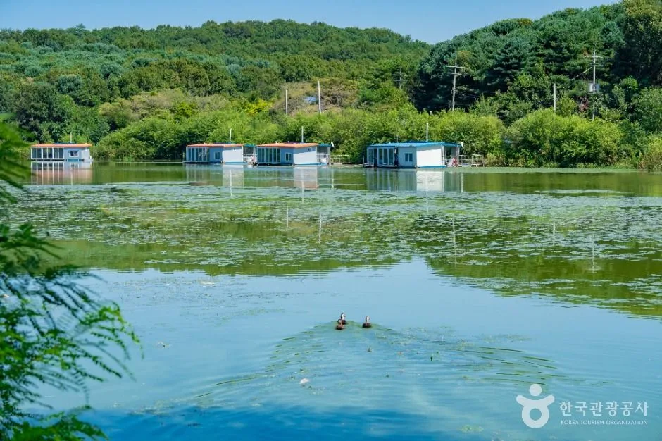 용인_용담저수지 (7)