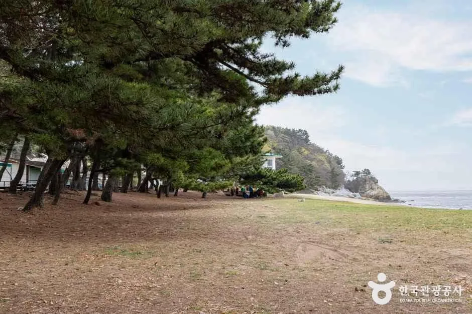 인천_웅진_장봉도한들해변 (3)