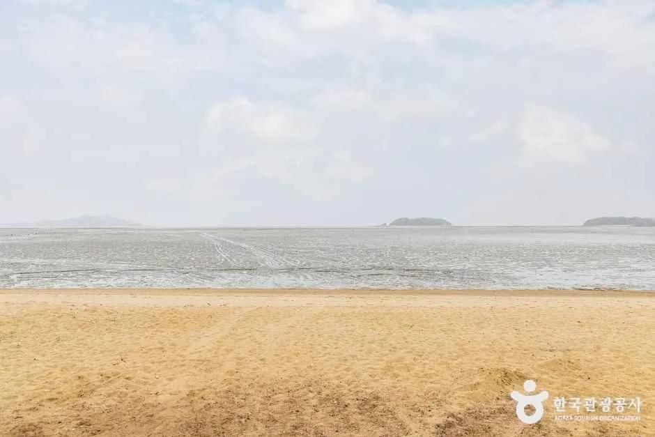 인천_웅진_장봉도한들해변 (4)