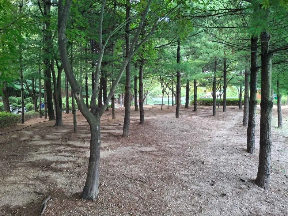 서울_대현산배수지공원 대현산배수지공원 모노레일 (2)