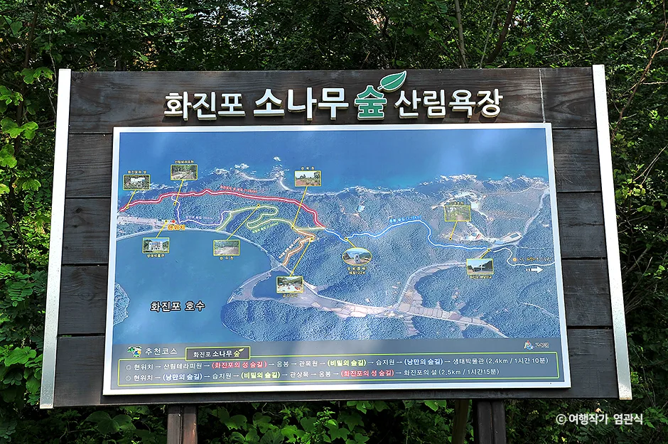 고성군_화진포소나무숲산림욕장 (4).jpg