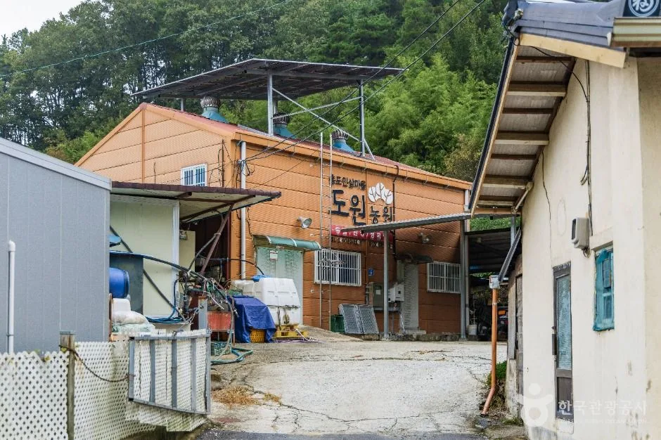 금산_홍도마을 (3)