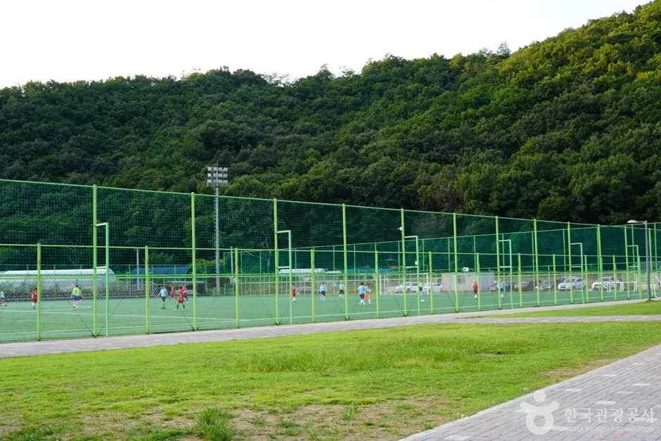 장흥생활체육공원 (14)