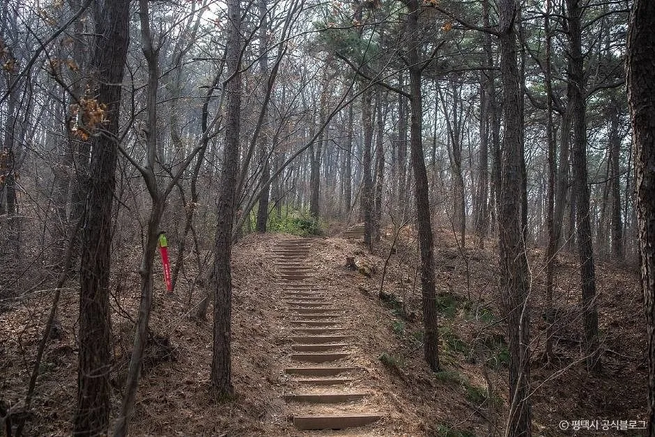 평택_마안산 (8)