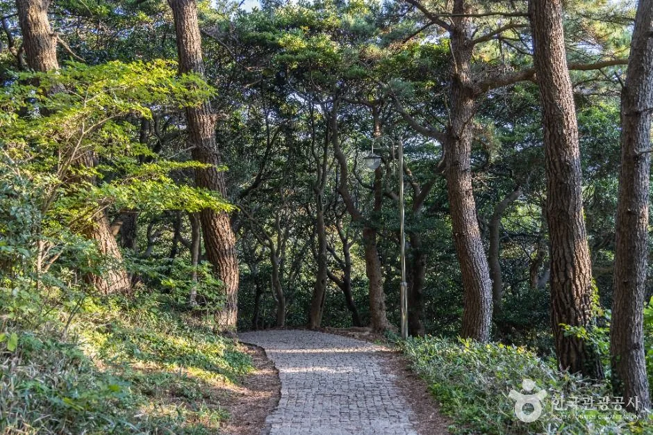 울릉_태하 해안산책로 및 대풍감(울릉도, 독도 국가지질공원) (7)