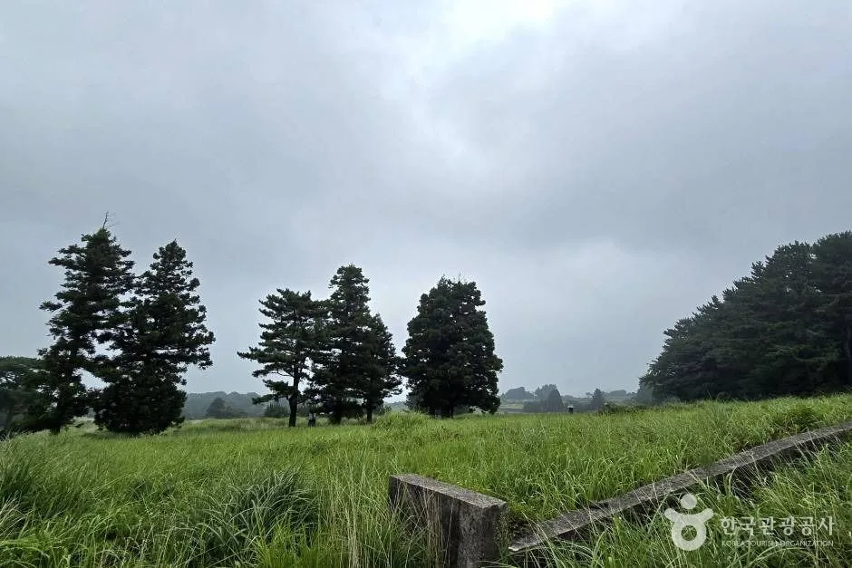 걸시오름_e (5)