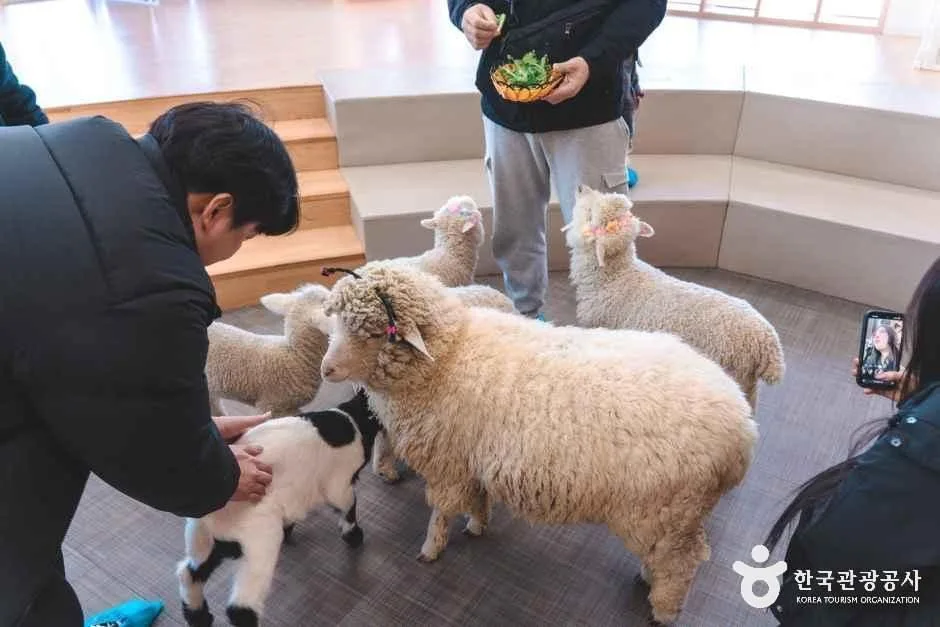 블랙스톤 벨포레 목장 (9)