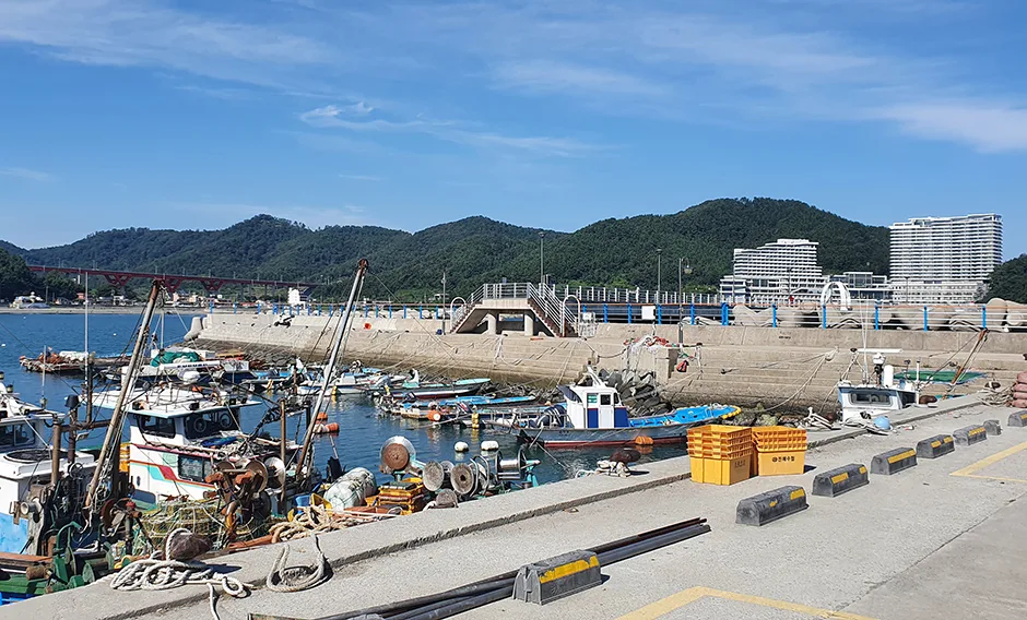 궁농항