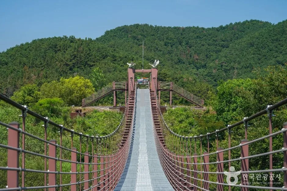 창녕_우포출렁다리 (3)
