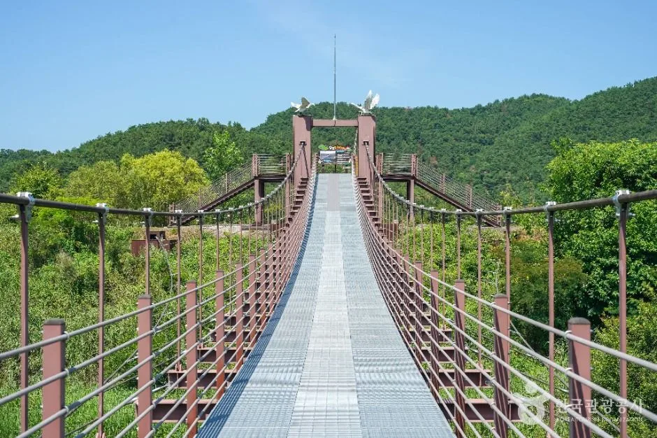 창녕_우포출렁다리 (5)
