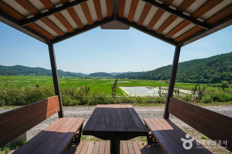 창녕_우포출렁다리 (1)