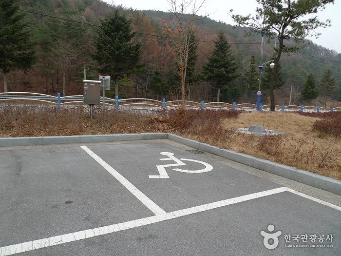 보은_솔향공원 (7).jpg