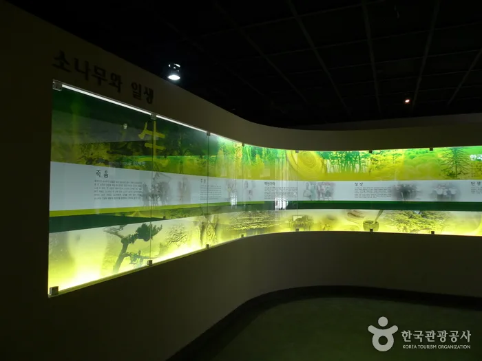보은_솔향공원 (1).jpg