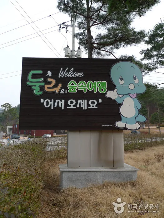 충북 보은 솔향공원 (20)