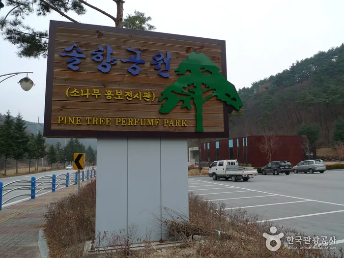 보은_솔향공원 (6).jpg