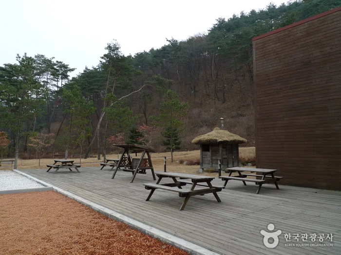 보은_솔향공원 (3).jpg