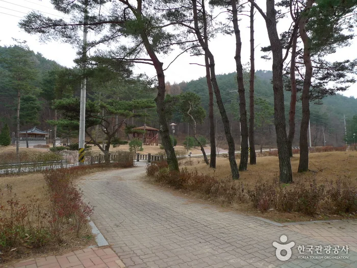 충북 보은 솔향공원 (18)