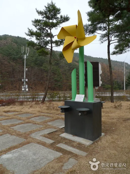 충북 보은 솔향공원 (22)