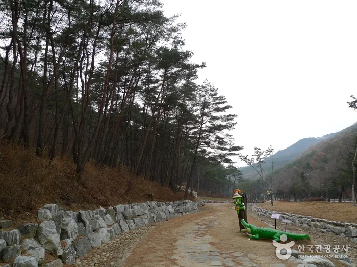 충북 보은 솔향공원 (11)