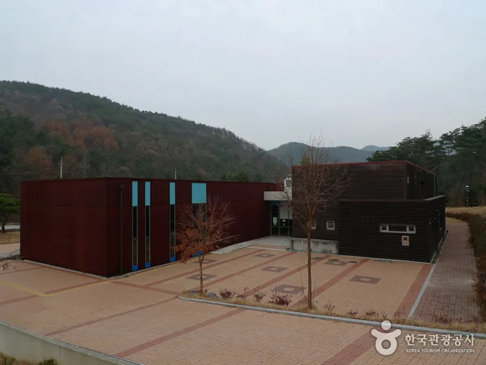보은_솔향공원 (4).jpg