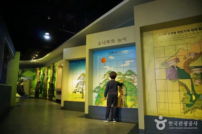 충북 보은 솔향공원 (9)