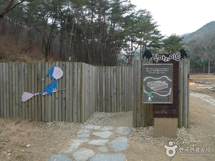 충북 보은 솔향공원 (5)