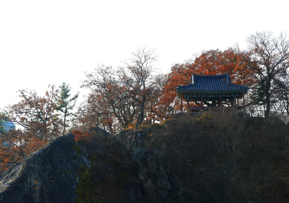 자온대 (1)