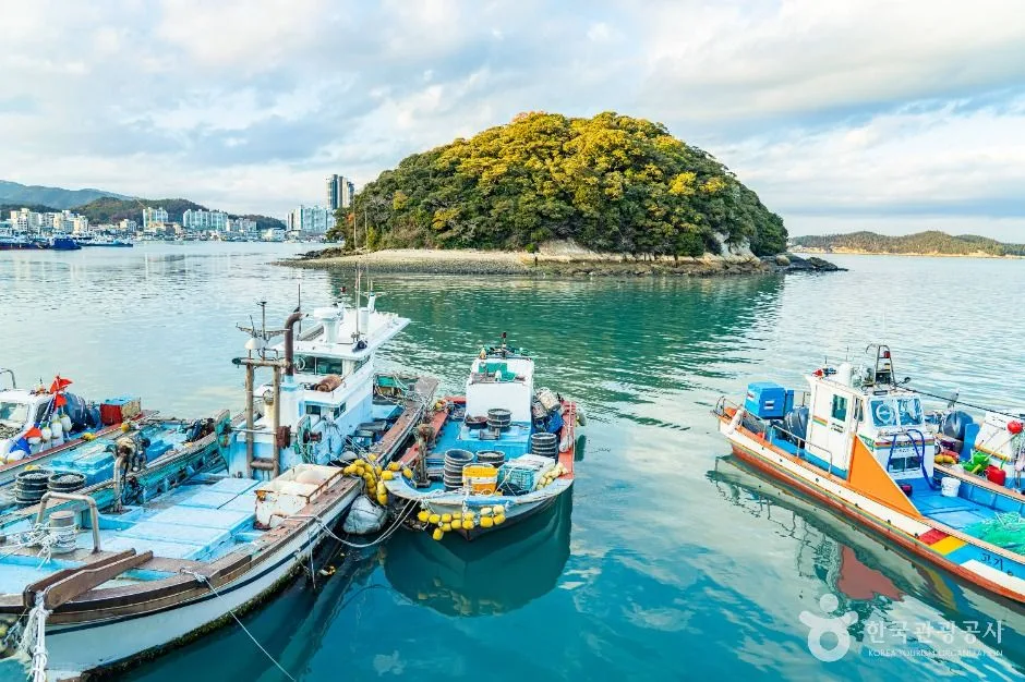 완도_주도 (5)