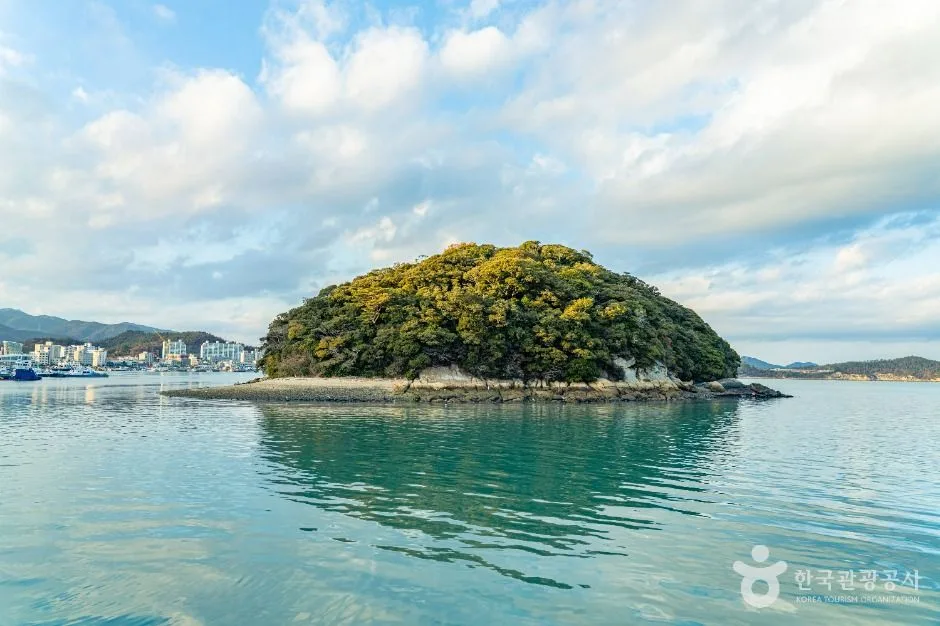 완도_주도 (3)
