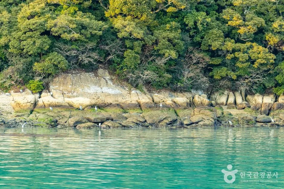 완도_주도 (4)