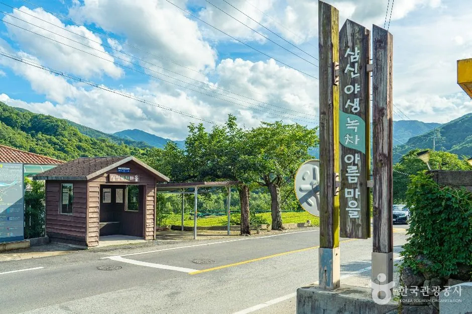 하동_삼신녹차마을 (1)