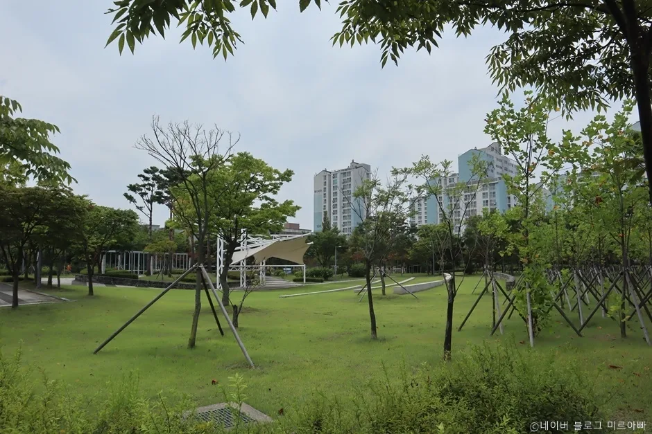 경기_김포시_마송중앙공원 (5).jpg