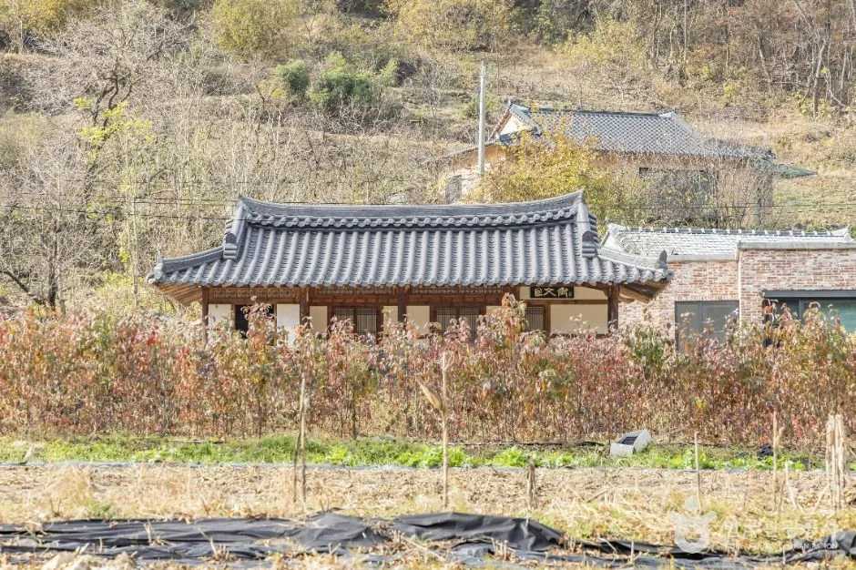 임실_임실김용택시인문학관 (10)