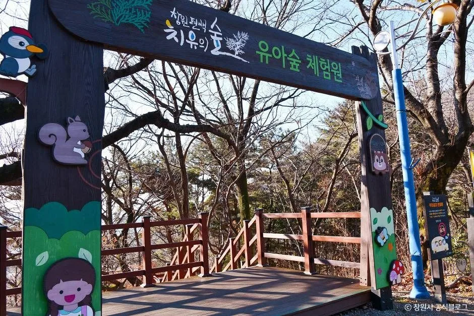 창원_창원 편백 치유의 숲 (5)