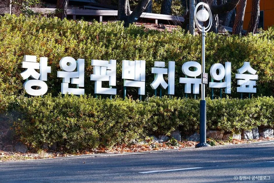 창원_창원 편백 치유의 숲 (2)