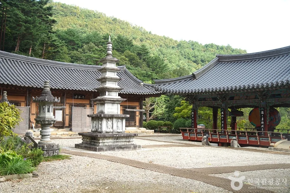 천은사(삼척) (24)