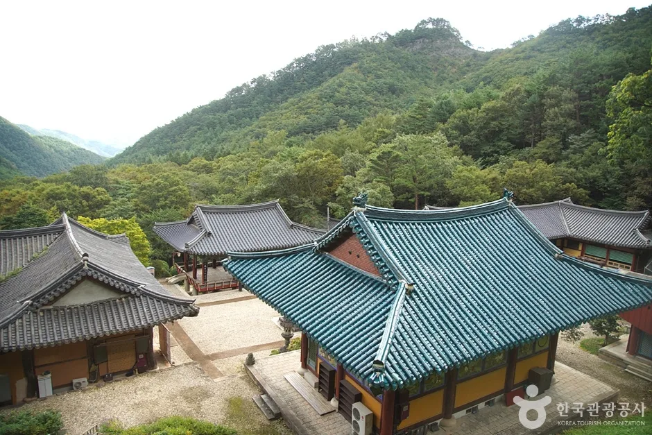 천은사(삼척) (12)